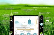 2024年种植补贴申请全指南，从政策解读到资金到账，一文掌握关键步骤
