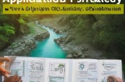 灵溪人才补贴申请全攻略，政策解读、申请条件与流程详解