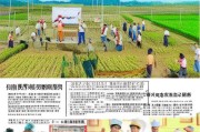 农资补贴再次发放，政策详解与申请指南