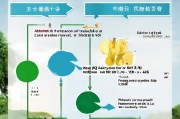 周口高龄补贴申请全攻略，条件、流程、注意事项，助您轻松申领