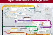 国家津贴申请全流程指南，从准备到成功申请的每一步