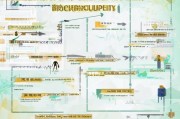 揭阳创业补贴申请流程全解析