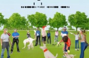 训犬该怎么获客，从零开始的实战指南