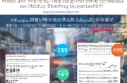 上海补贴申请，原件要求全解析及实用指南