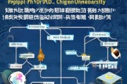 全面解析，中大博士申请流程指南