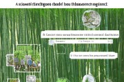 毛竹虫害补贴申请指南，科学防治、政策扶持，守护竹林生态与经济价值