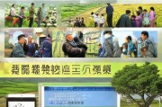 廉江三农补贴申请指南，政策红利直达田间地头