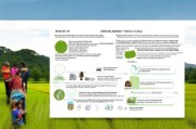 水稻养殖补贴申请全攻略，从条件到流程，助农增收有保障