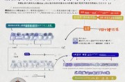 西安就业补贴申请时间全攻略，2024最新政策、流程与注意事项