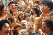 心悦宠物，轻松享受宠物世界，快来领取吧！