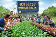 🌱2024年最火副业！共享菜园月入过万，躺赚时代来了！