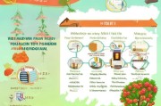 湖北水果补贴申请全攻略，条件、流程、注意事项一文读懂