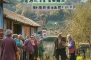 河南出台新政策，外出老人补贴申请指南，温暖守护银发族远行路