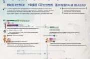 浙江灵活用工补贴申请全攻略，政策解读、条件与流程详解